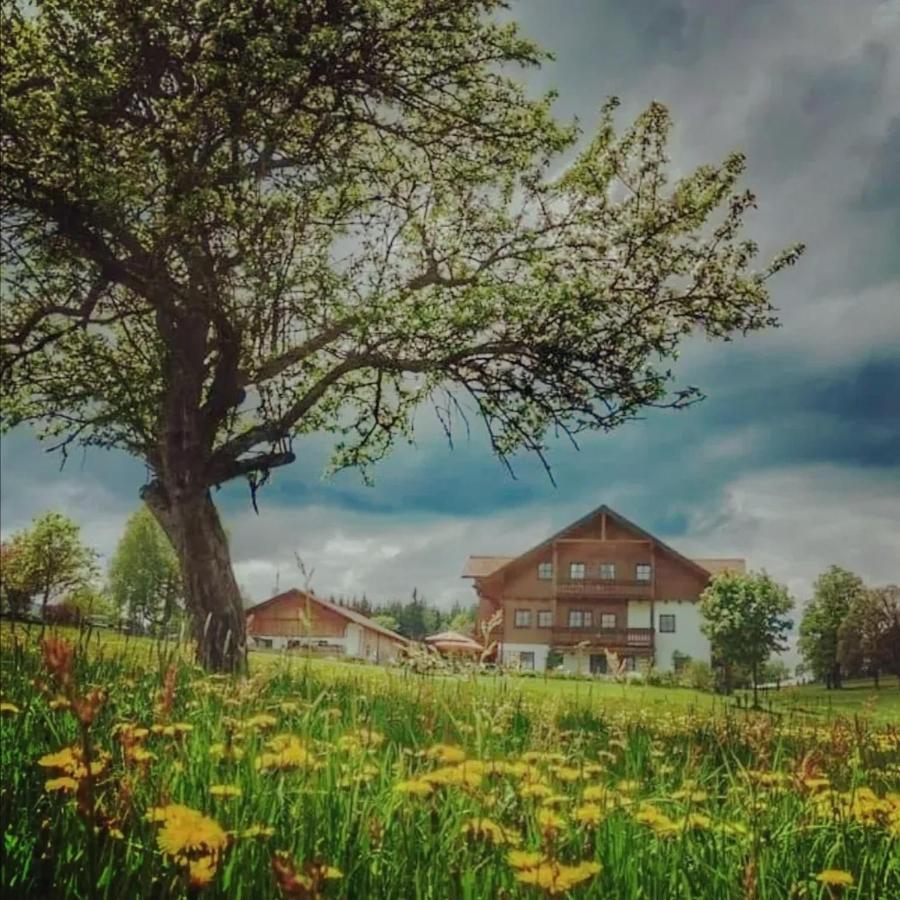Biobauernhof Brandlhof Apartment Ramsau am Dachstein Bagian luar foto