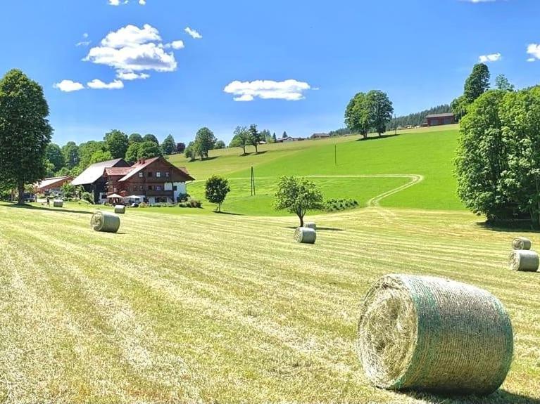 Biobauernhof Brandlhof Apartment Ramsau am Dachstein Bagian luar foto