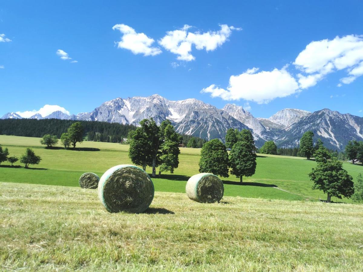 Biobauernhof Brandlhof Apartment Ramsau am Dachstein Bagian luar foto