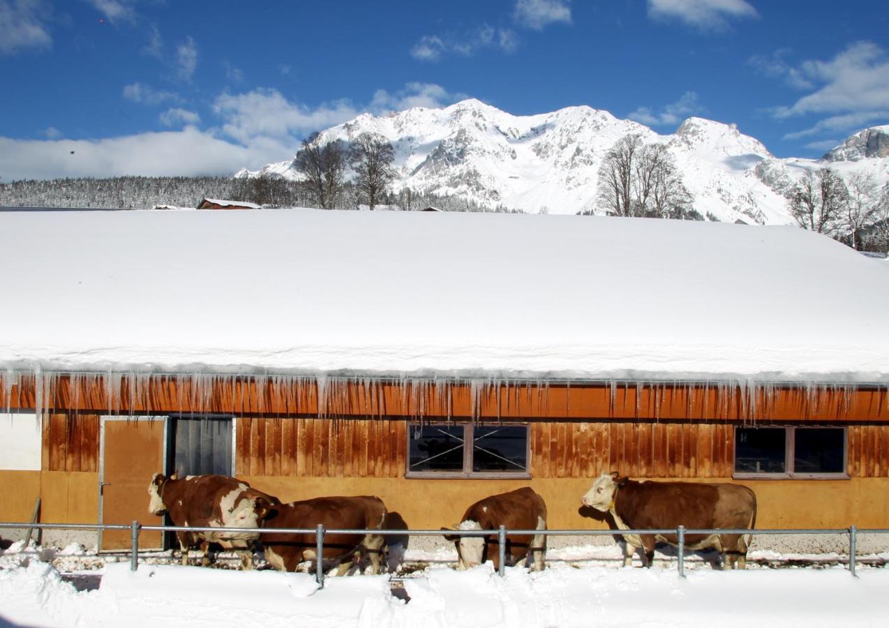 Biobauernhof Brandlhof Apartment Ramsau am Dachstein Bagian luar foto