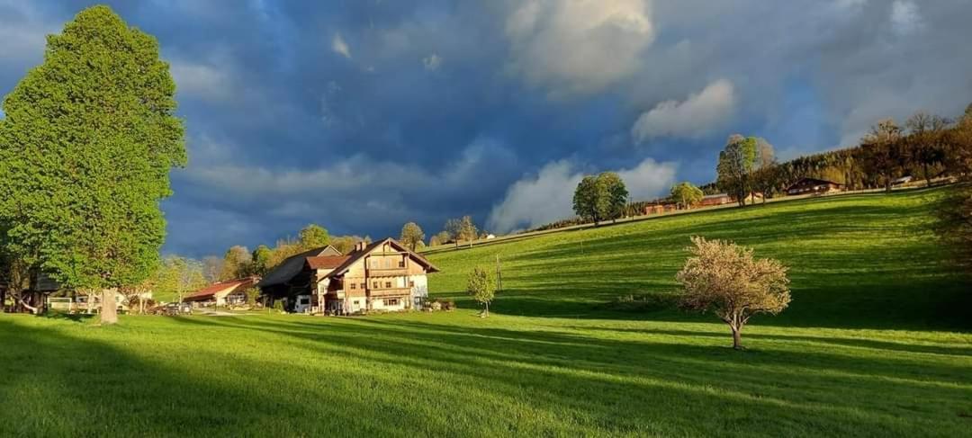 Biobauernhof Brandlhof Apartment Ramsau am Dachstein Bagian luar foto