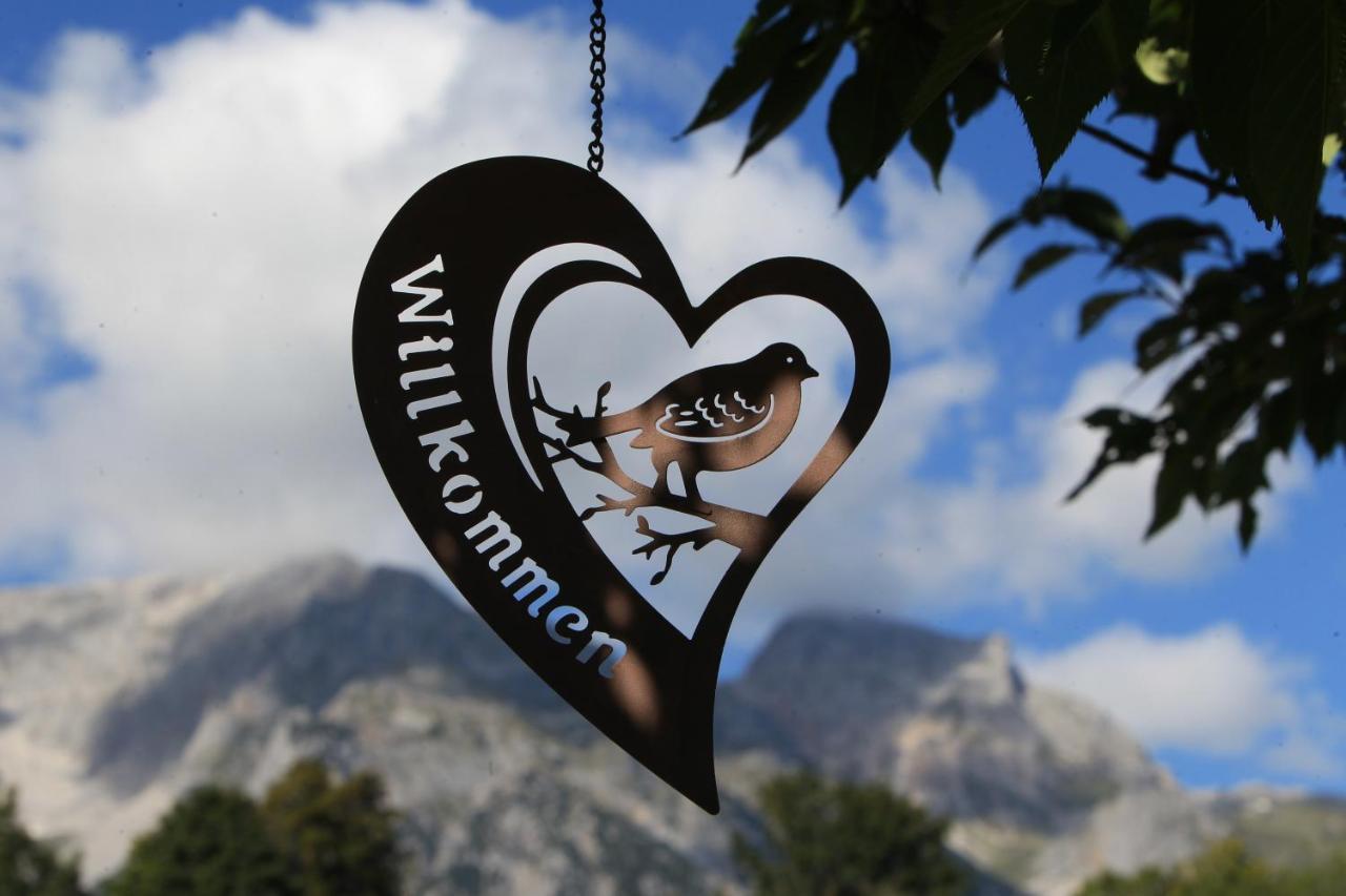 Biobauernhof Brandlhof Apartment Ramsau am Dachstein Bagian luar foto