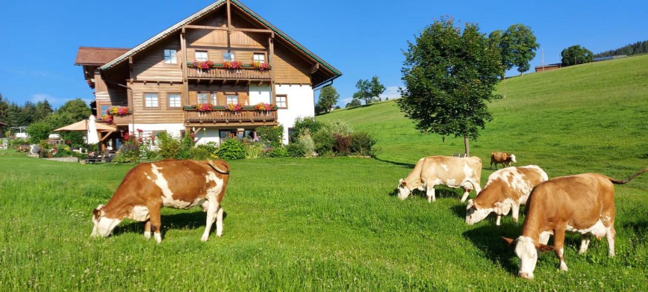 Biobauernhof Brandlhof Apartment Ramsau am Dachstein Bagian luar foto