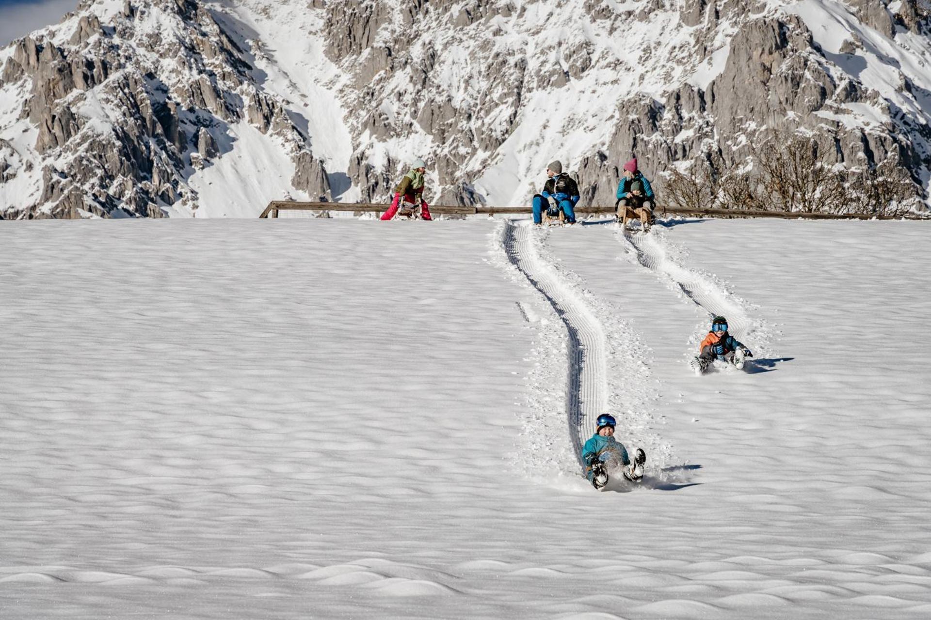 Biobauernhof Brandlhof Apartment Ramsau am Dachstein Bagian luar foto
