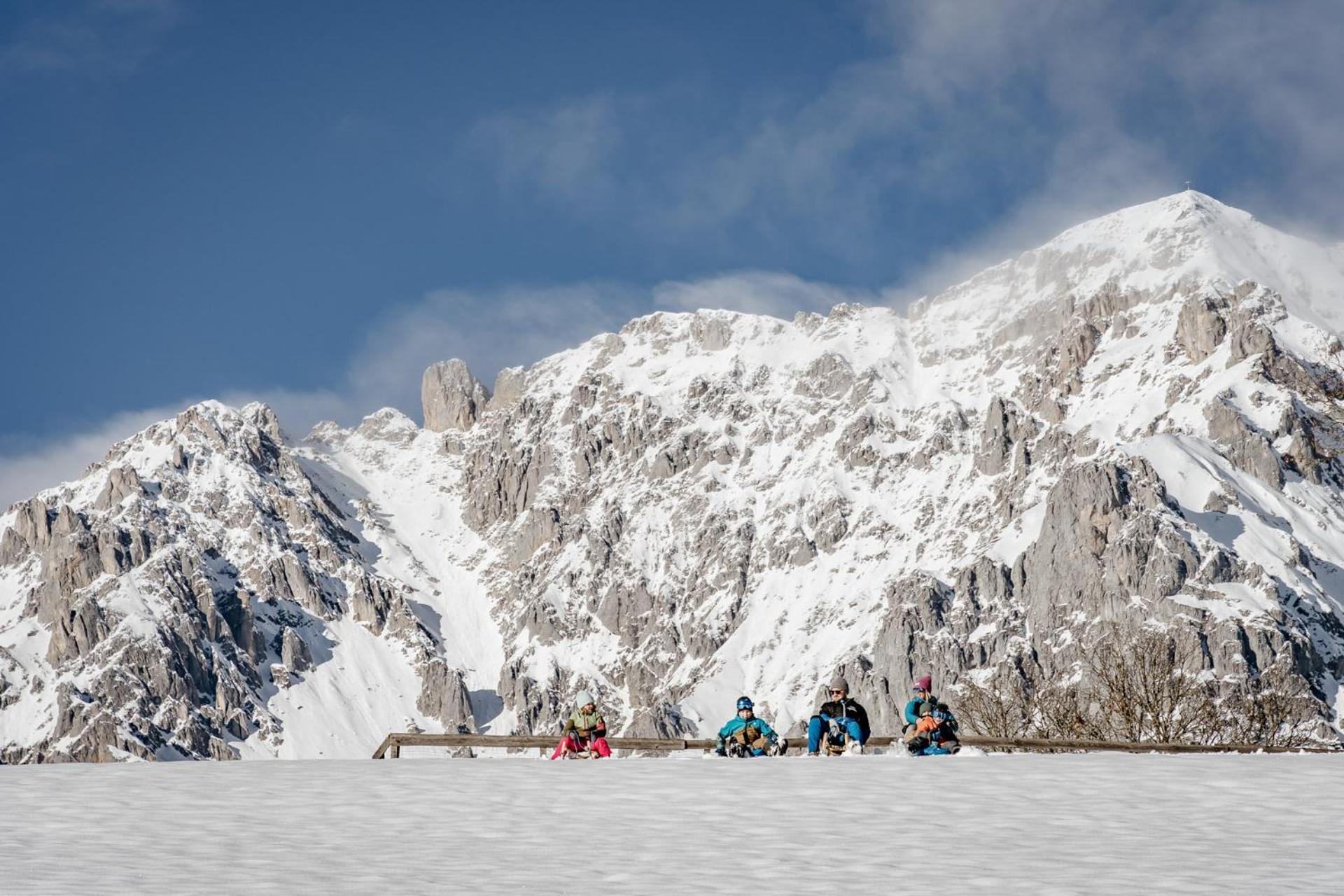 Biobauernhof Brandlhof Apartment Ramsau am Dachstein Bagian luar foto