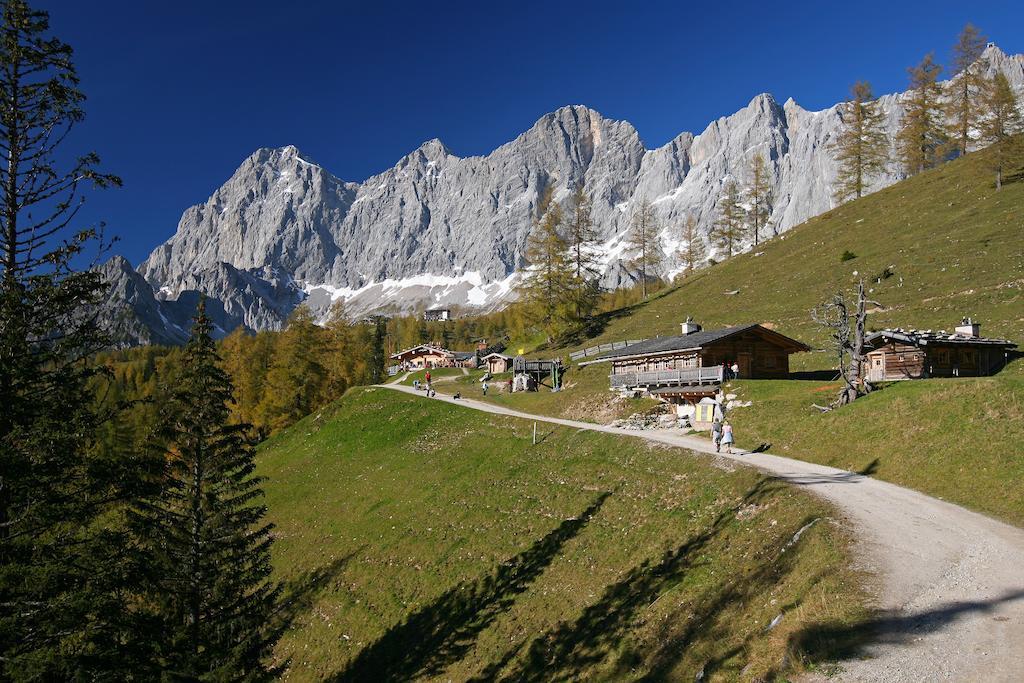 Biobauernhof Brandlhof Apartment Ramsau am Dachstein Bagian luar foto